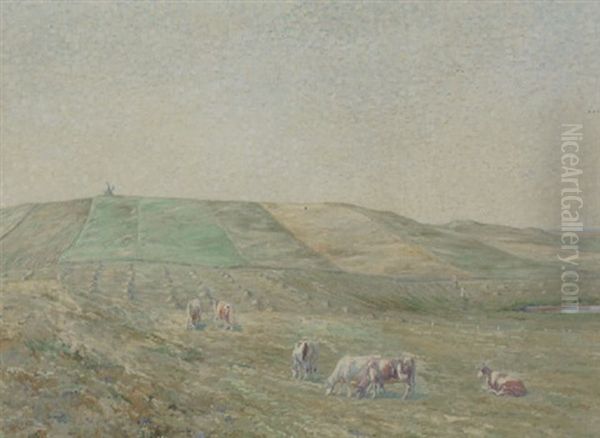 Koer Pa Engen Under Hoj Himmel - view 1