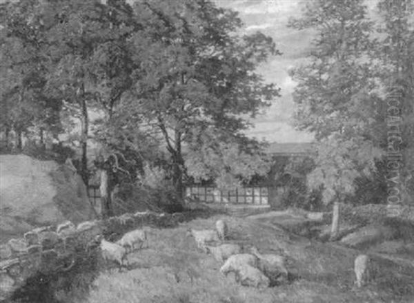 Sheep Grazing - view 1