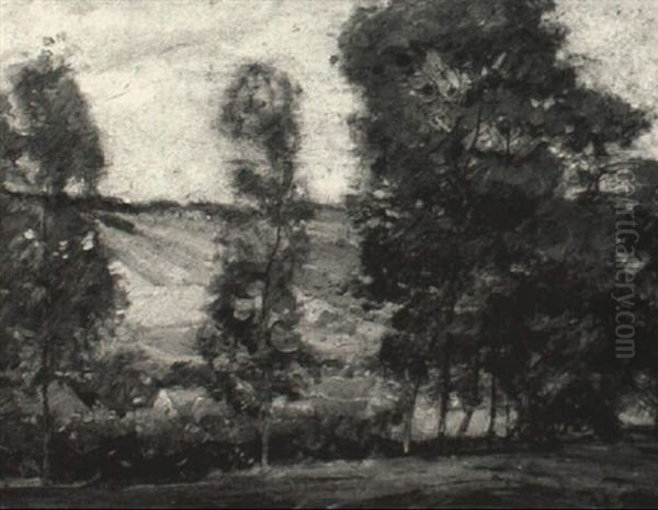 Summer Landscape - view 1