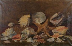 Nature Morte Aux Coquilles Et E by Felix Buelens
