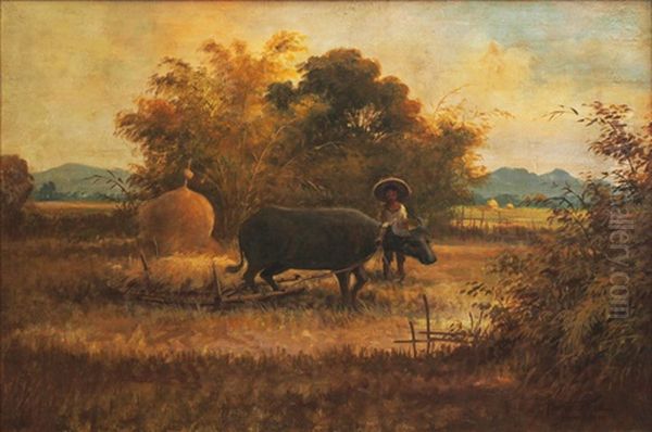 Landscape - view 1