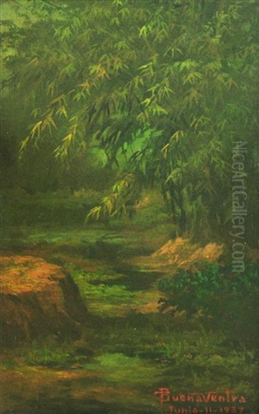 Brook - view 1