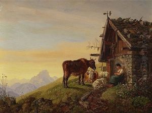 Alp