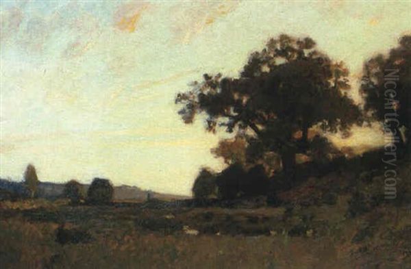 Landschaft - view 1