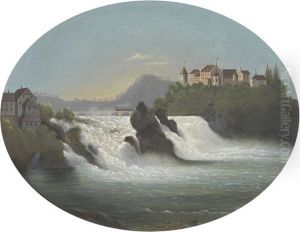 Der Rheinfall Bei Neuhausen
