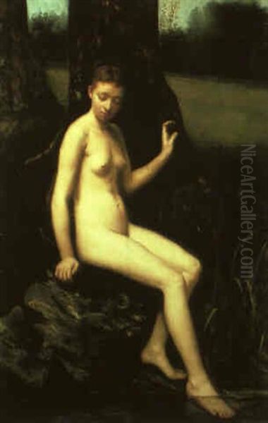 Wood Nymph - view 1