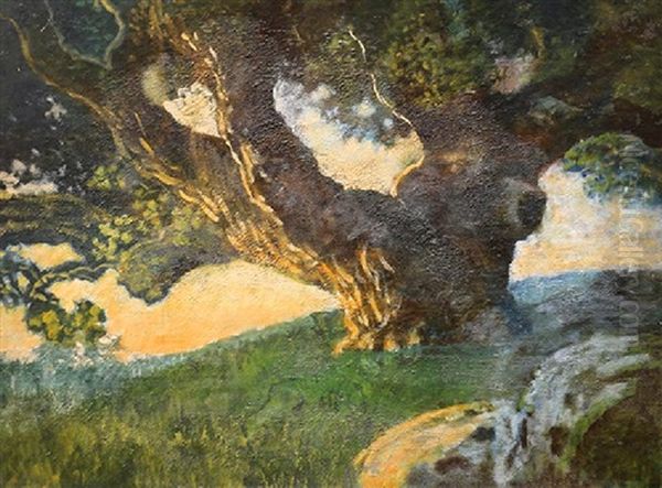Lone Oak At Sunset - view 1