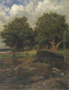 Eichen Am Strand Des Ammersees