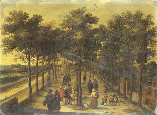 Promenade Dans Une Allee D'arbres - view 1