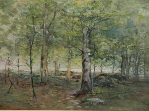 Indiana Woods