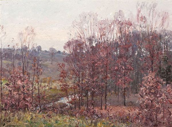 Young Oaks - view 1