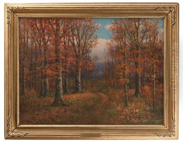 Path Through The Woods - view 1