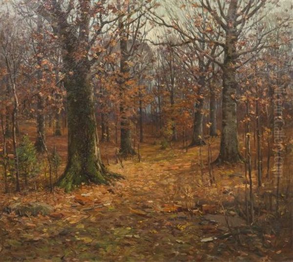 Fall Day In The Forest - view 1