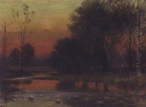 Woodland Sunset Woodland Sunset