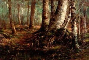 Woodland Interior Woodland Interior