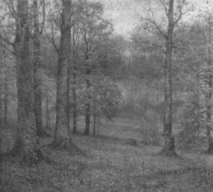 The Oaks The Oaks