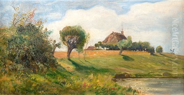 Sommerliche Boddenlandschaft - view 1