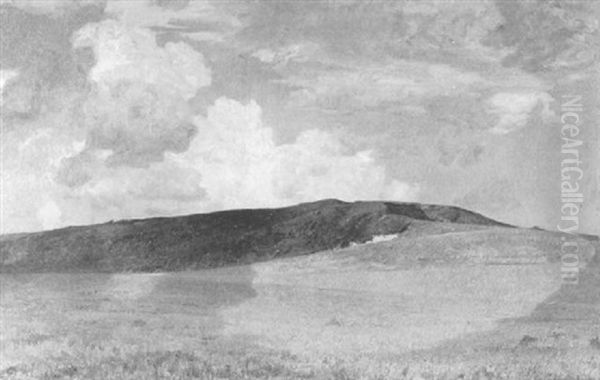 Norddeutsche Sommerlandschaft - view 1