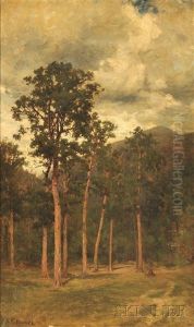 Landscape With A Stand Of Trees And Distant Mountain by Andrew Fisher Bunner