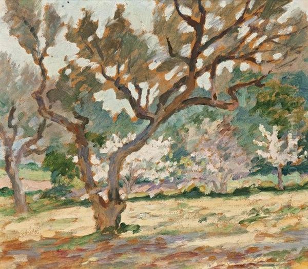 Landscape, South Of France - view 1