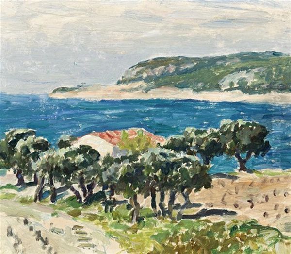Cote D'or, South Of France - view 1