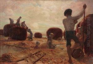 Harvest Time