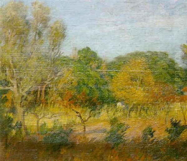 Landscape - view 1