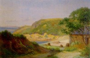 Coastal Landscape Coastal Landscape