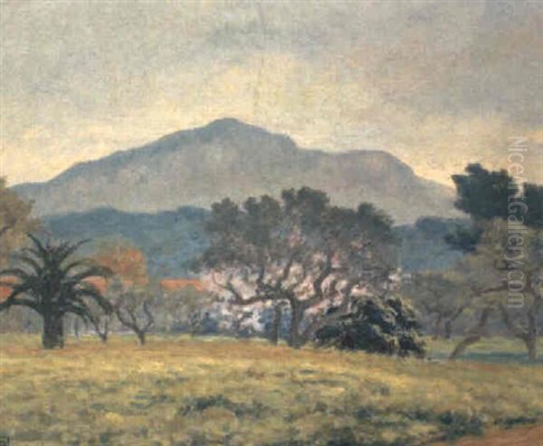 Orchards, South Of France - view 1
