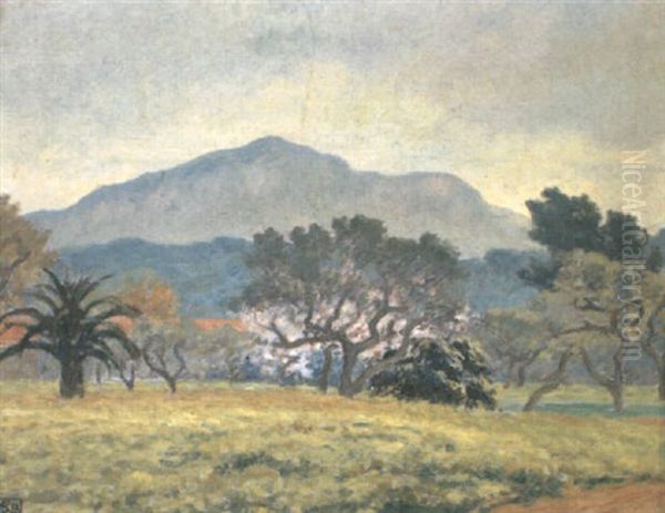 Orchard, South Of France - view 1
