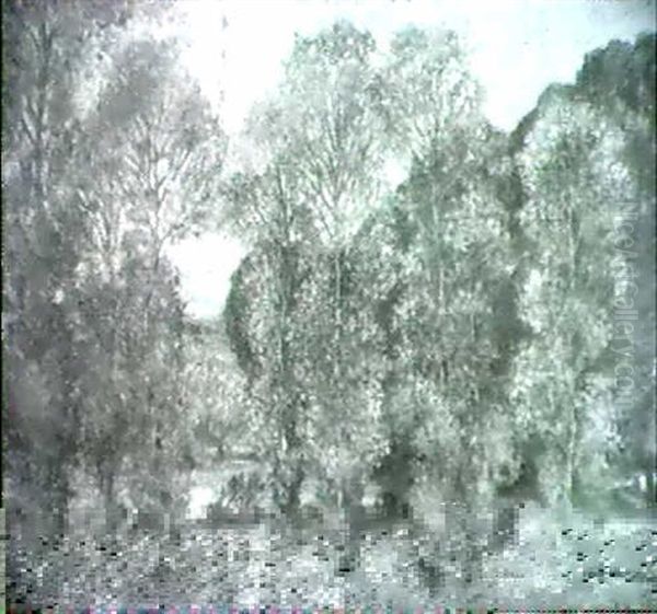 A Grey Day - view 1
