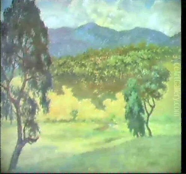 The Gidgewa Creek - view 1