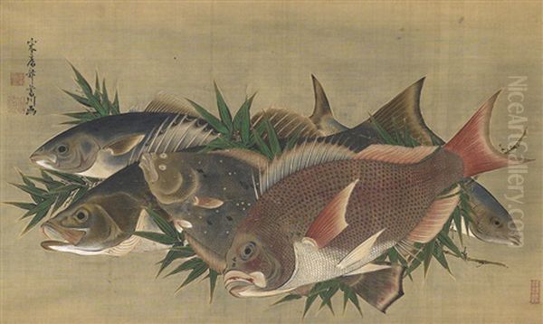 Group Of Fish - view 1