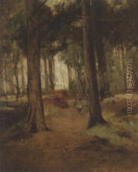 A Young Child In A Wood - view 1