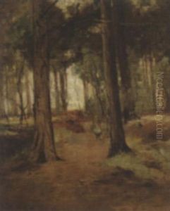 A Young Child In A Wood A Young Child In A Wood