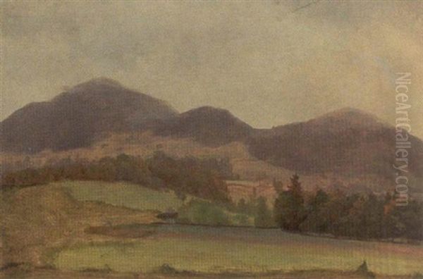 Bjerglandskab - view 1