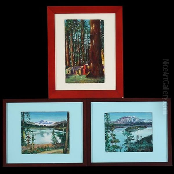 Mariposa Grove (+ 2 Works; 3 Works) - view 1
