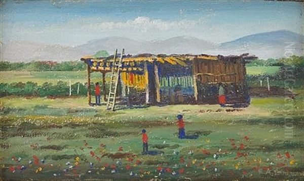 Pima Indian Home At Sacaton, Arizona - view 1
