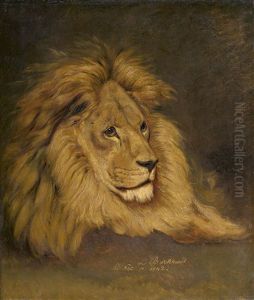 Ruhender Lowe