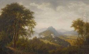 Blick Auf Schloss Hohenschwangau Mit Alpsee by Josef Burgaritzky
