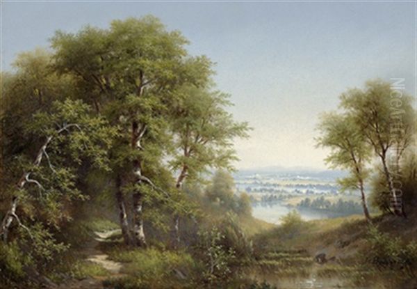 Waldlandschaft - view 1
