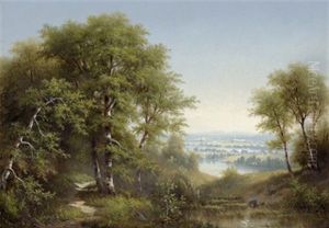 Waldlandschaft Waldlandschaft