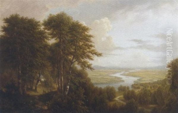 A Panoramic View Of The Donau Valley In Summer - view 1