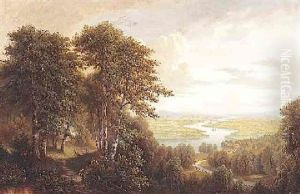 Blick Ins Sommerliche Donautal Blick Ins Sommerliche Donautal