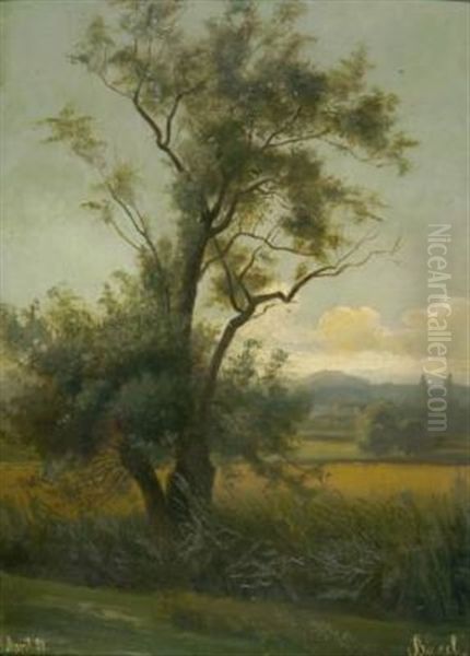 Dachauer Moos - view 1