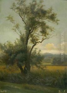 Dachauer Moos by Hugo Burgel