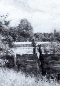 2 Gartnerinnen Mit Weissem Kopftuch Beim Sortieren Der Pflanzen Auf Einem Weg. by Fritz Burger