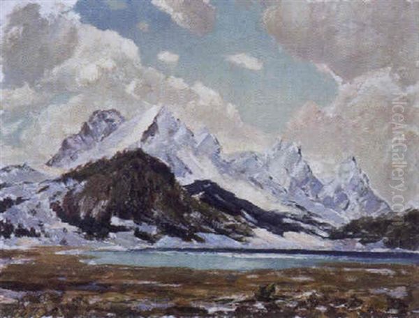 Gebirgsee Im Winter - view 1