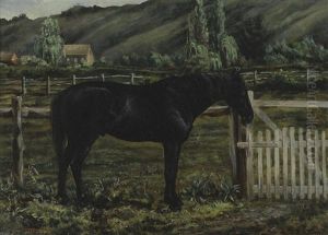 Horse On A Ranch, Marin County by George Henry Burgess