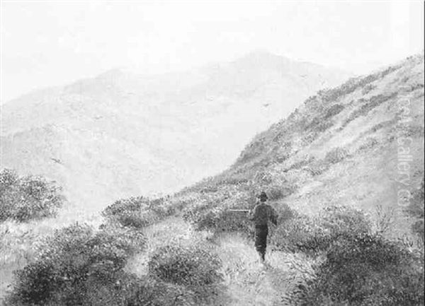 On The San Gregorio Hills, Morning, California - view 1